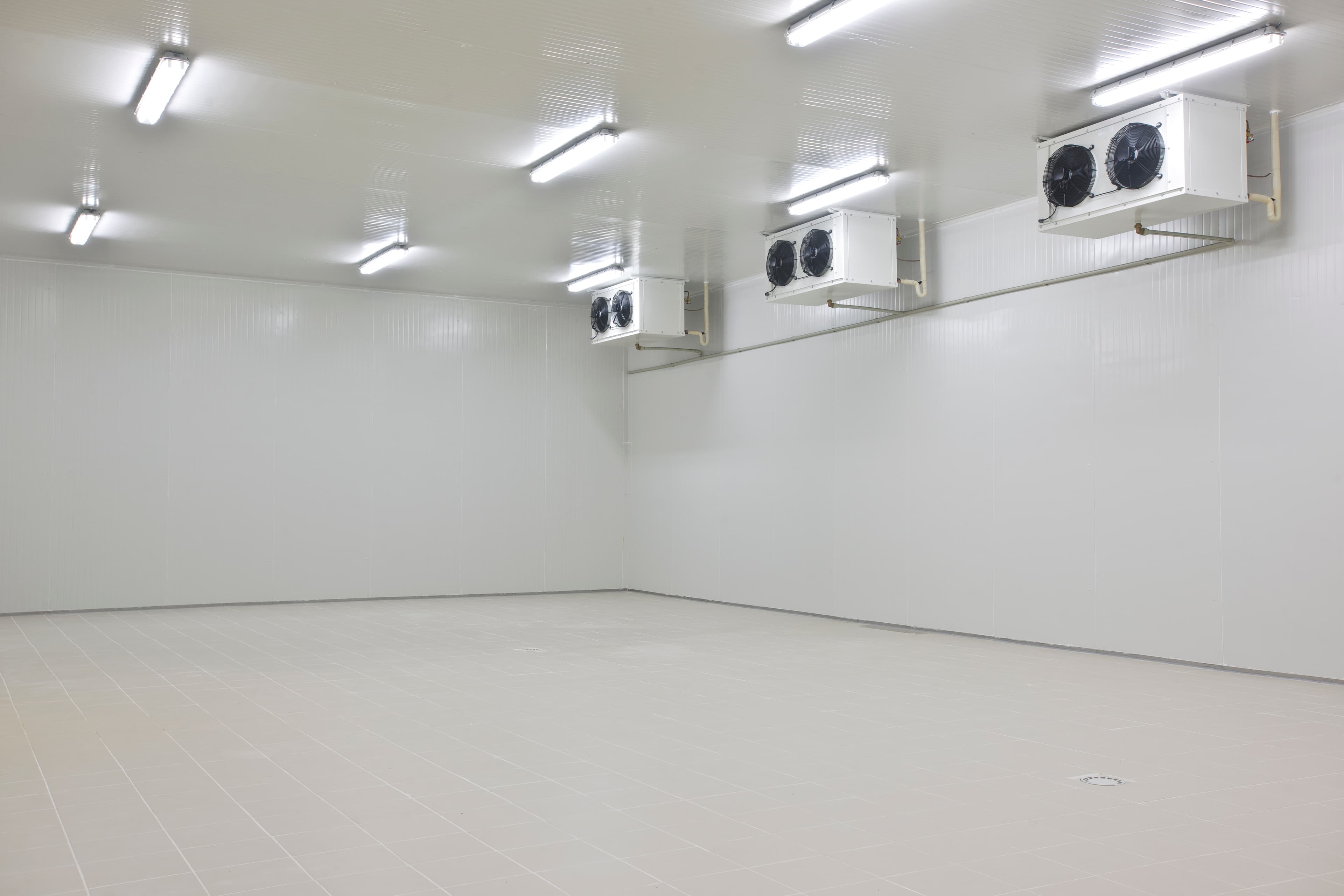 Large, empty refrigerated room with white walls, a tiled floor, and cooling units mounted on the wall